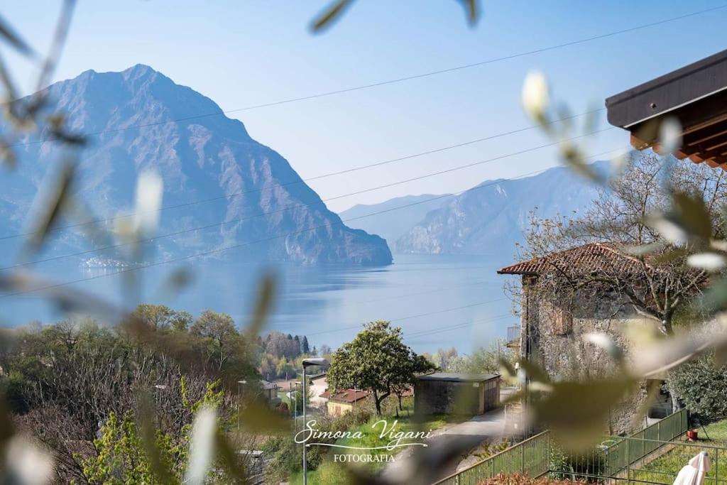 Ferienwohnung Il Giardino Di Laura Costa Volpino Exterior foto